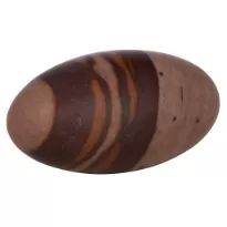 Narmadeshwar Shivling