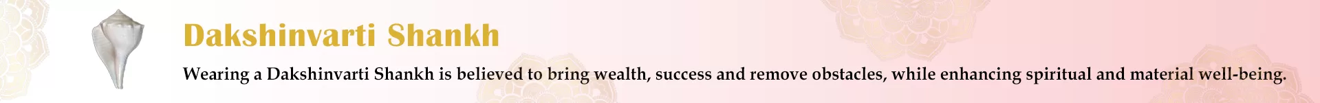 Dakshinavarti Shankha